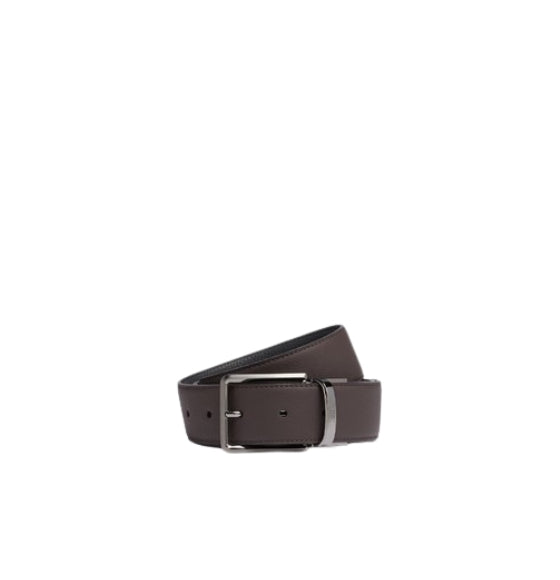 Black & Foliage Brown Reversible Leather Belt